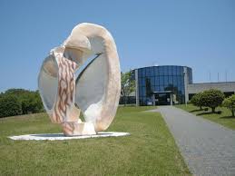 Image result for 土井ヶ浜遺跡　視線　故郷