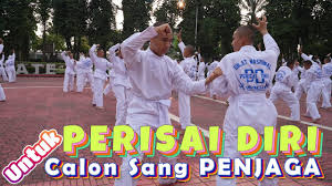 Image result for Silat Pd (Perisai Diri) UK