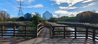 Image result for Go-Ride Bexley