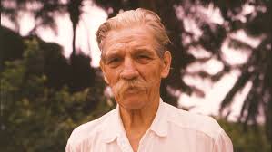 Image result for albert schweitzer