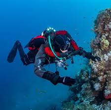 Image result for 3D Diving Club