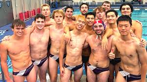 Image result for York University Swimming & Water Polo Club