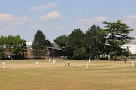 Image result for Sibton Park Cricket Club