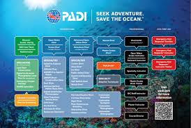 Image result for Divemaster Scuba