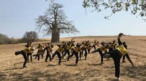 Image result for Capoeira Agora