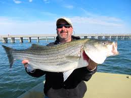 Image result for Becmain Angling Society