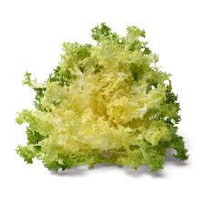 Image result for Endivie