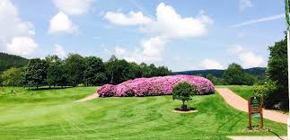 Image result for The Shipley Club