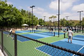 Image result for Lockerbie Pickleball Club