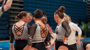 Image result for Hemsworth Odyssey Gymnastics Squad