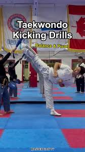 Image result for Han Wong Tae Kwon Do Academy
