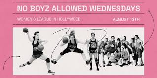 Image result for Bewdley Virtue Dodgeball Club