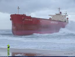 Image result for Pasha bulker