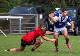 Image result for Egremont Rugby League Football Club