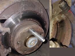 Картинки по запросу белку зажевало в диск