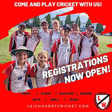 Image result for Carmarthen Wanderers Cricket Club