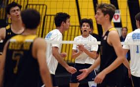 Image result for Newbury Volleyball Club