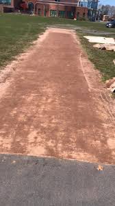 Image result for Newhaven Cricket Club