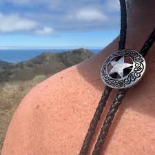 Image result for brilsnoer