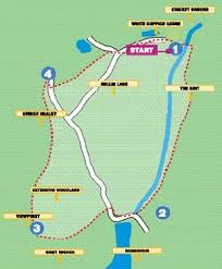 Image result for White Coppice Cricket Club