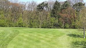 Image result for Richmond (Yorks) Golf Club