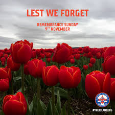 Image result for Byfleet Village Football Club