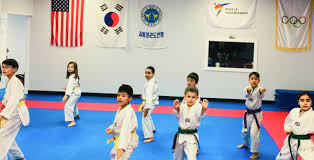 Image result for Invertay Taekwondo Club