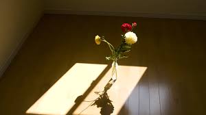 Image result for 自宅突然死 単身世帯