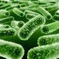 H1n1 mutation - Types of mutation - Causes of genetic mutation 