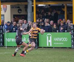 Image result for Rochford Hundred Rugby Club