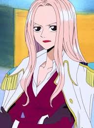 「ヒナ ONE PIECE」の画像検索結果