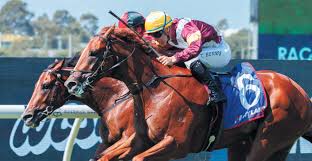 Image result for Bletchingly Badminton Club