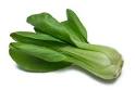 HowStuffWorks "Chinese Cabbage"