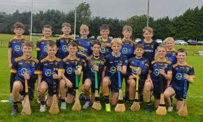 Image result for Causeway Hurling Club