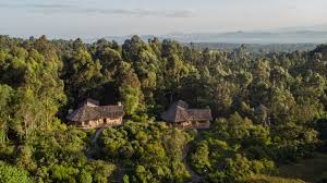 Image result for Ancestral Mountains