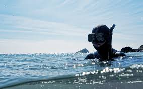 Image result for St. Albans Snorkelling Club (SASC)