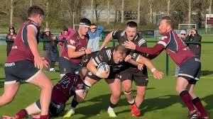 Image result for Ards Rugby Football Club