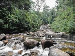 Image result for синхараджа