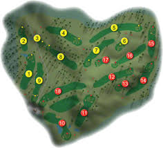 Image result for Carlow Golf Club