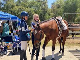 Image result for Bookham Riding Club