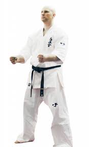 Image result for Kyokushin Karate