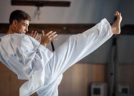 Image result for Nottingham Sankukai Karate
