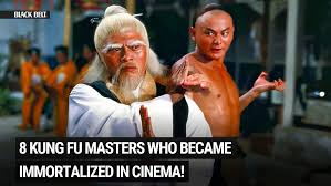 Image result for kung fu