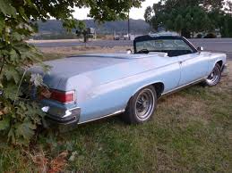 Image result for Horizon Blue 1975 Buick