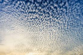 Attēlu rezultāti vaicājumam “altocumulus”