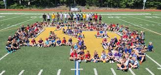 Image result for Wrentham Football Club