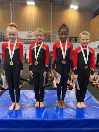 Image result for Basingstoke Gymnastics Club
