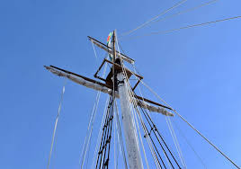 Image result for owl ship