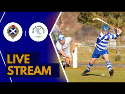 Image result for Skye Camanachd