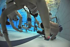 Image result for Llanelli Octopush Club